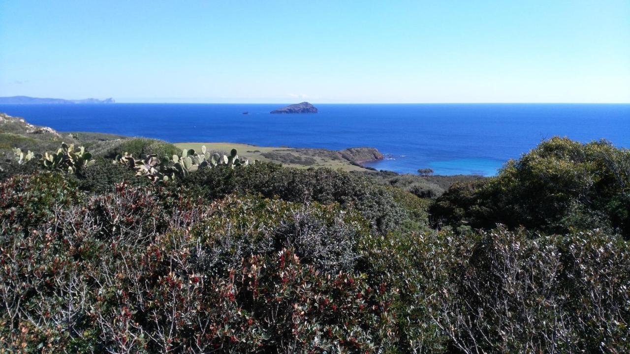 B&B Glamping Semaforo Capo Sperone SantʼAntìoco Kültér fotó