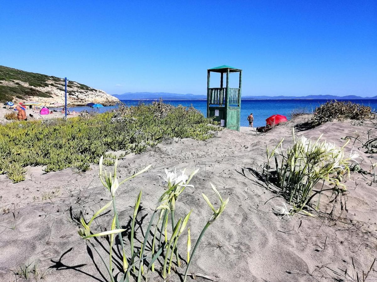 B&B Glamping Semaforo Capo Sperone SantʼAntìoco Kültér fotó