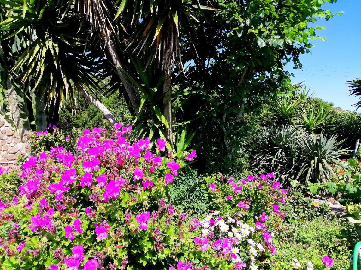 B&B Glamping Semaforo Capo Sperone SantʼAntìoco Kültér fotó